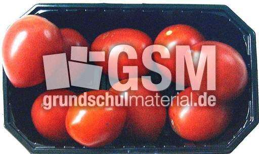 Tomaten-Schale.jpg